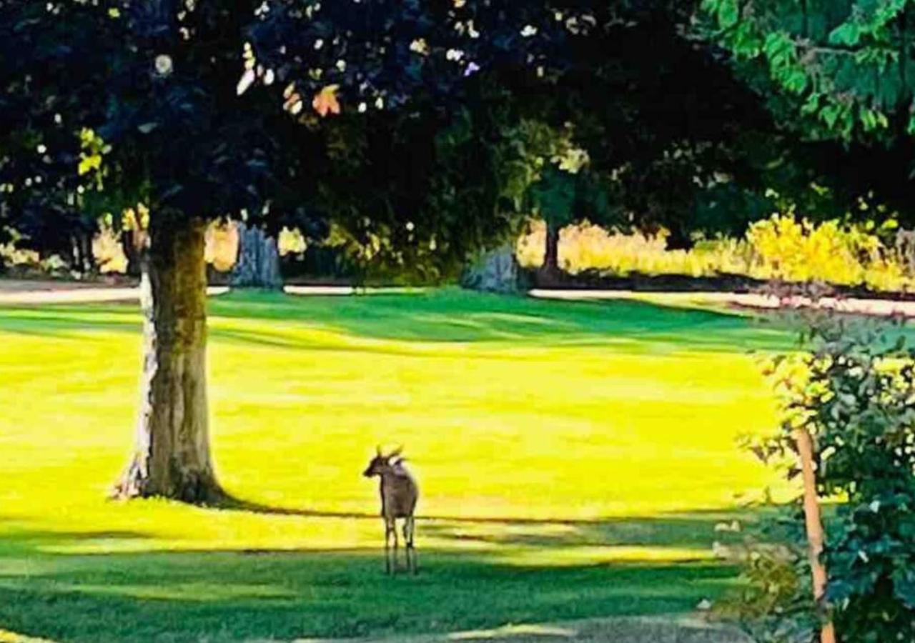 Oceanside Manor - Fancy Room - Golf Course & Beach View Qualicum Beach Exteriör bild